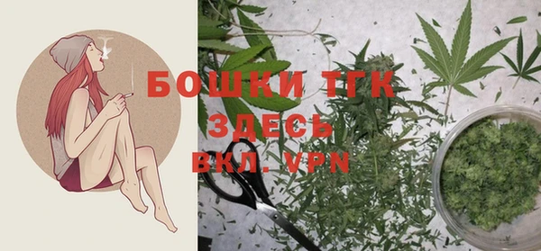 хмурый Верхний Тагил